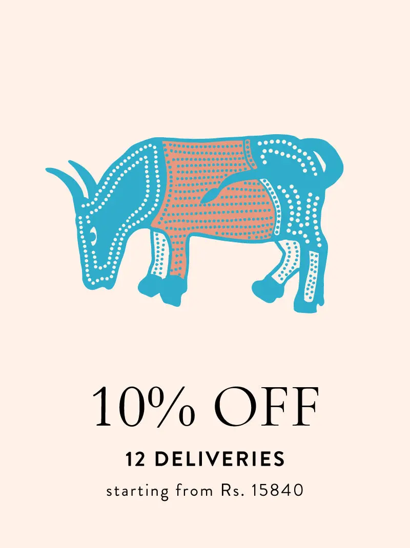 12 Delivery Capsule Subscription 1