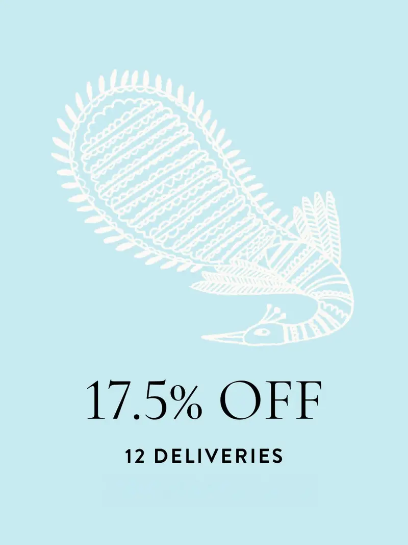 12 Delivery Easy Pour Subscription 1