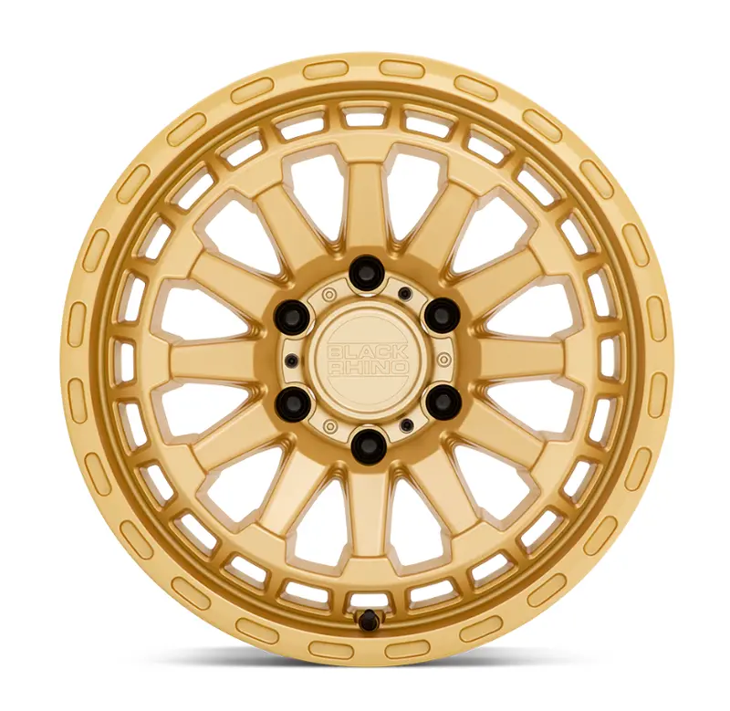 20X9.5 Black Rhino Raid Gold 3