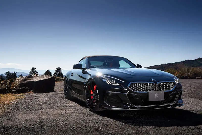 3Ddesign Front Splitter For Bmw Z4 M Sport (2019+, G29) 2