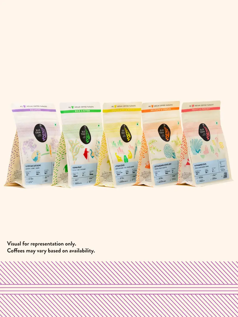 5-In-1 Explorer Pack 1