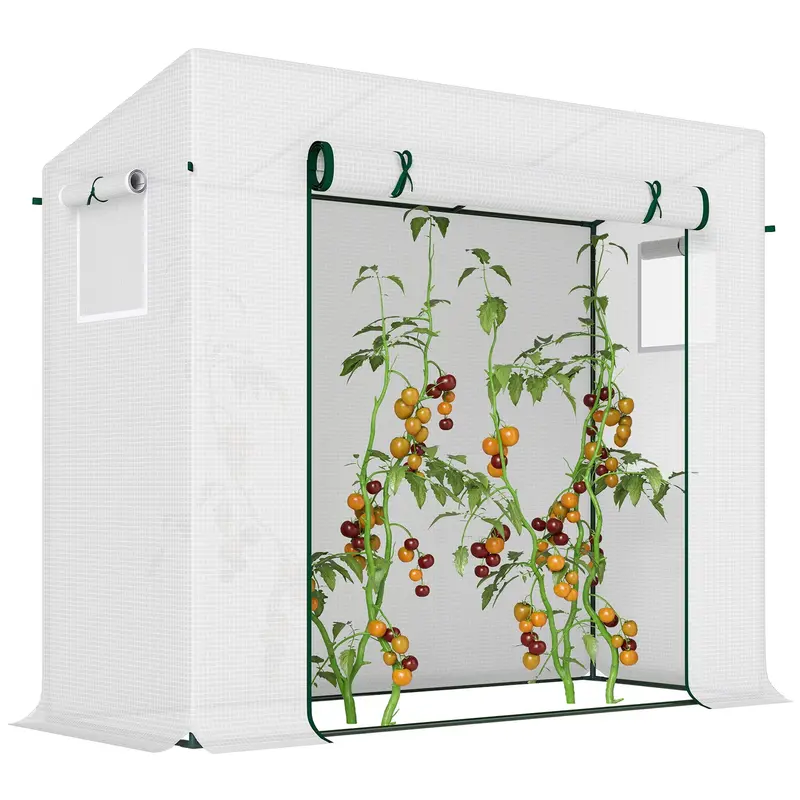 6.6' X 2.5' X 5.5' Walk-In Greenhouse With Door And Window, White 1