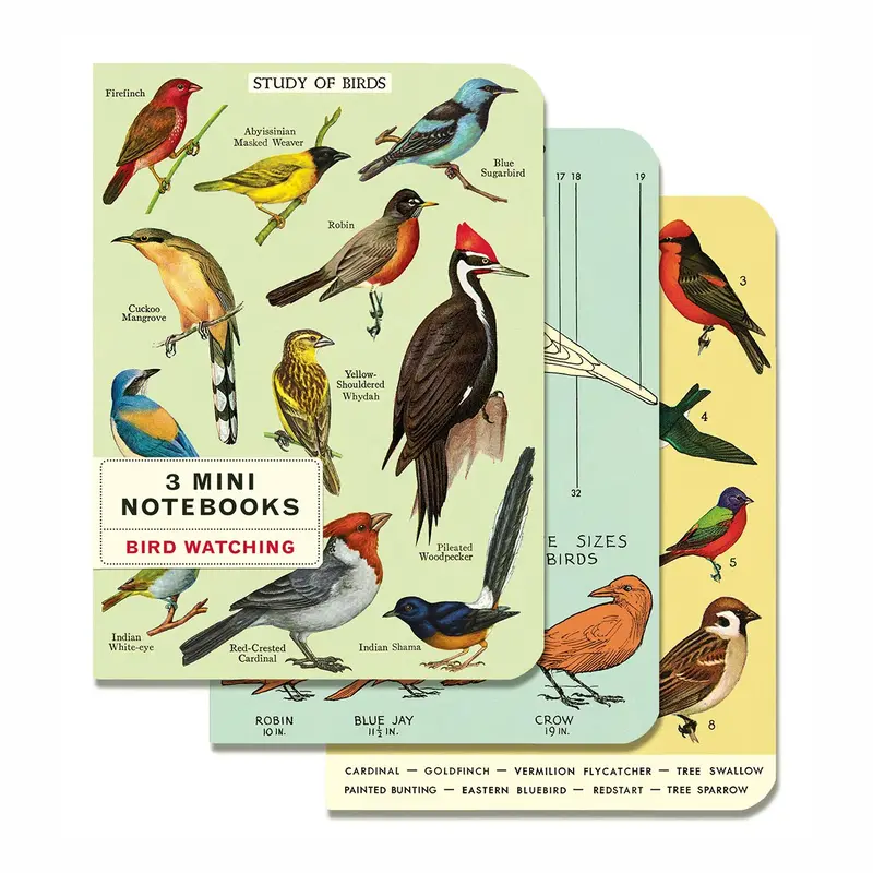 Bird Watching Mini Notebooks (Set Of 3) 1