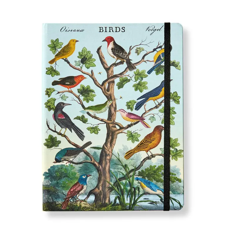 Birds Notebook (Large) 1