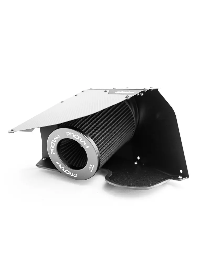 Bmw M135 F70 & Mini Cooper F66 Carbon Fibre Air Intake Filter Kit By Ramair 2