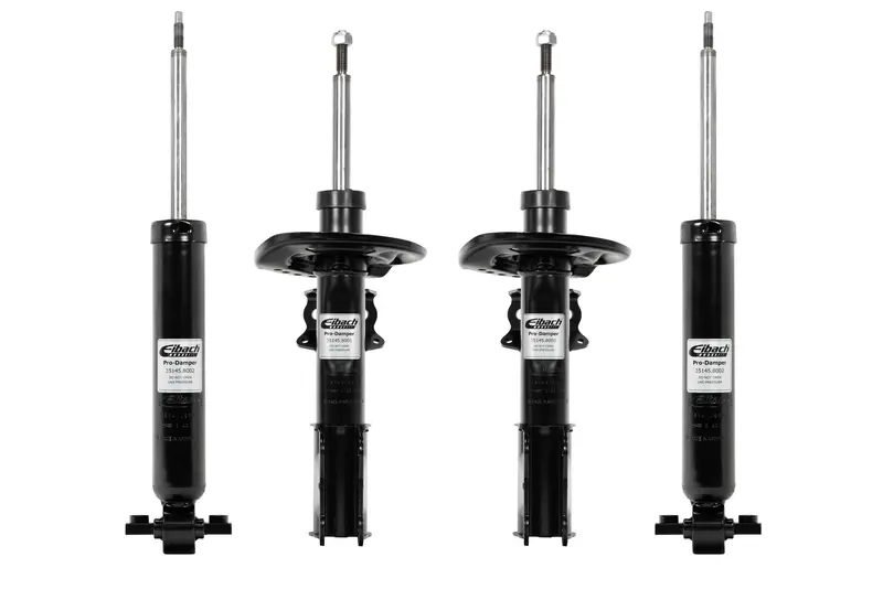 Eibach Pro-Damper Kit  2015-2024 Chrysler 300 3.6L V6 (Rwd) 1