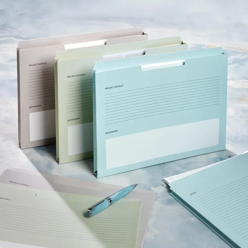 File Smart Dossier (Set Of 6) 2