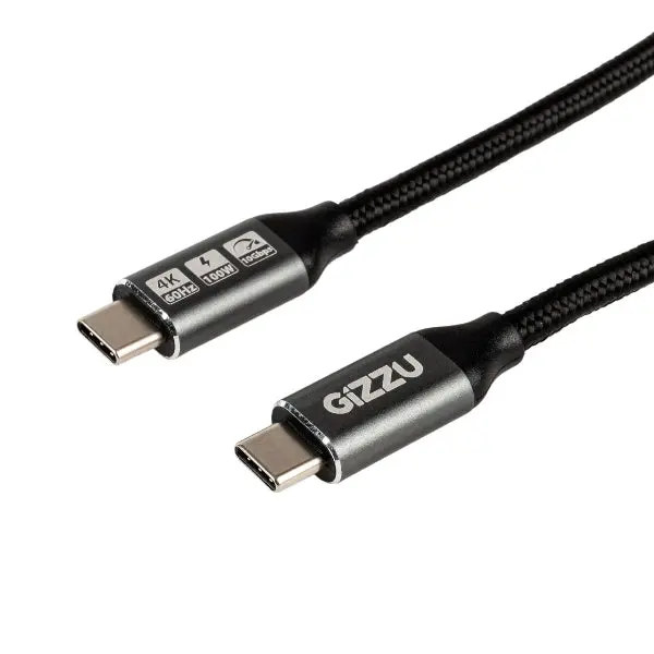 Gizzu 100W 10Gbps Type-C 2M Cable 1