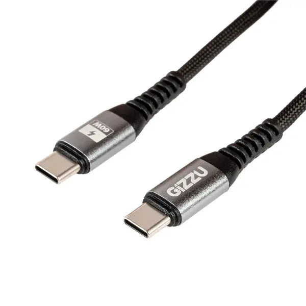Gizzu 60W 480Mbps Type-C 2M Cable 1