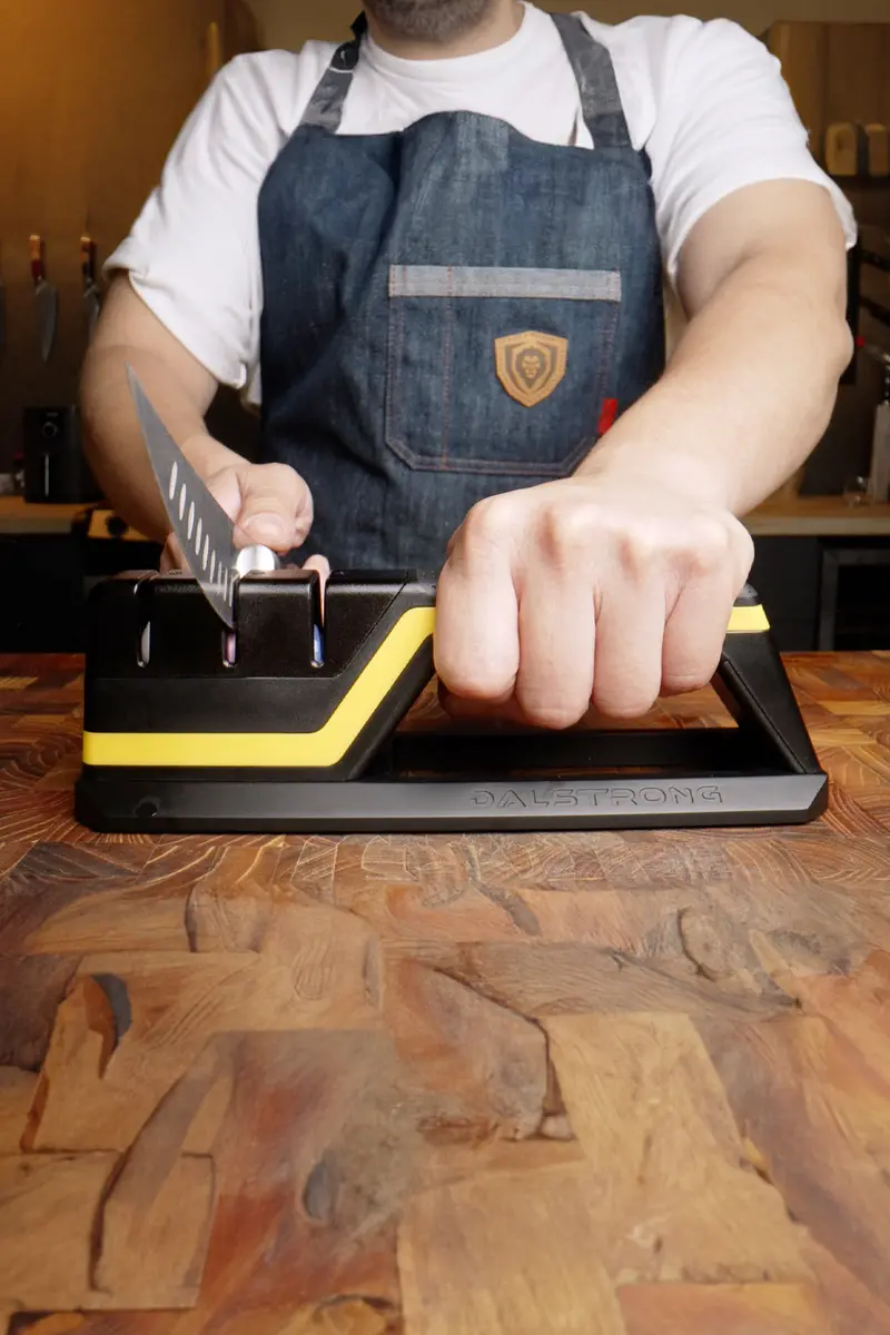 Knife Sharpener | Hornet Series | Dalstrong © 1