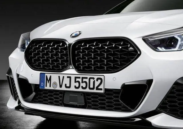 M Performance Gloss Black Honeycomb Grille For Bmw 2 Series & M235i (2020-2024, F44) 1