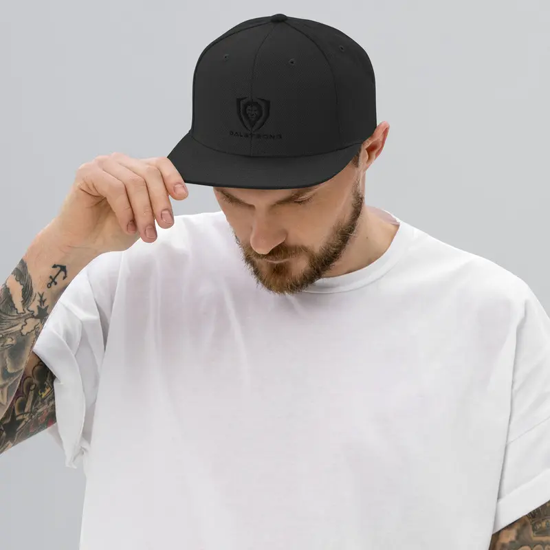 Make It Snappy Snapback Hat 2