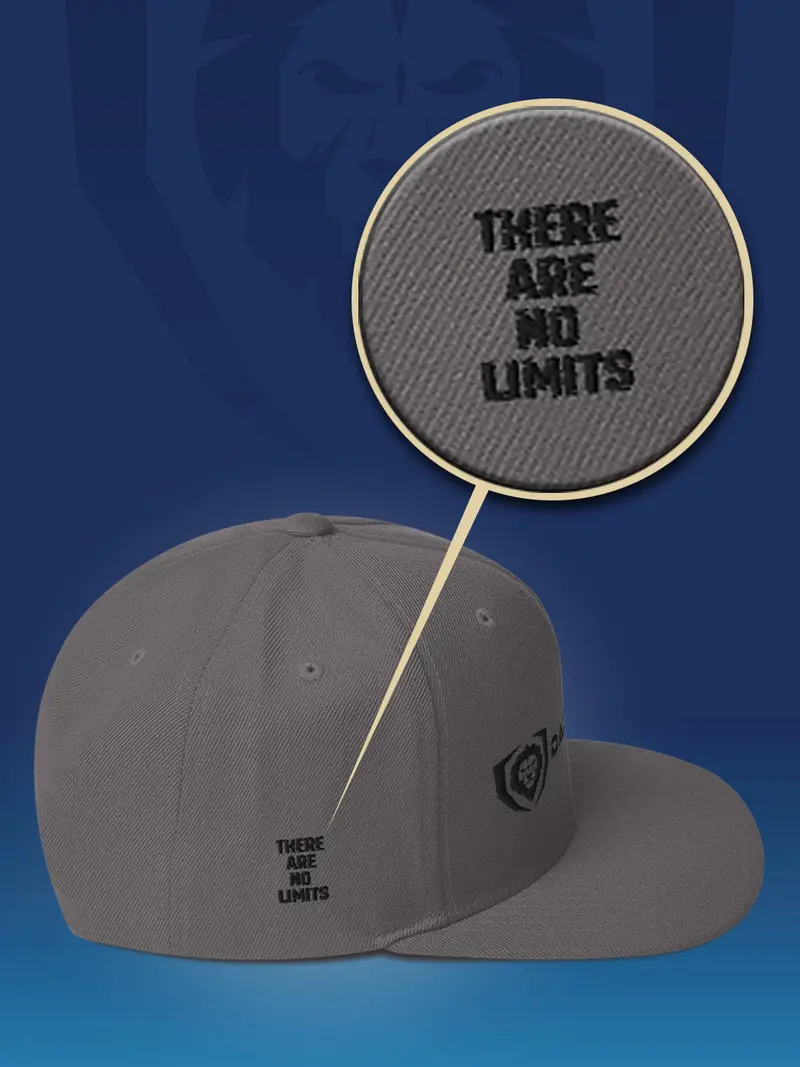 Make It Snappy Snapback Hat - Classic Logo | Apparel | Dalstrong © 2