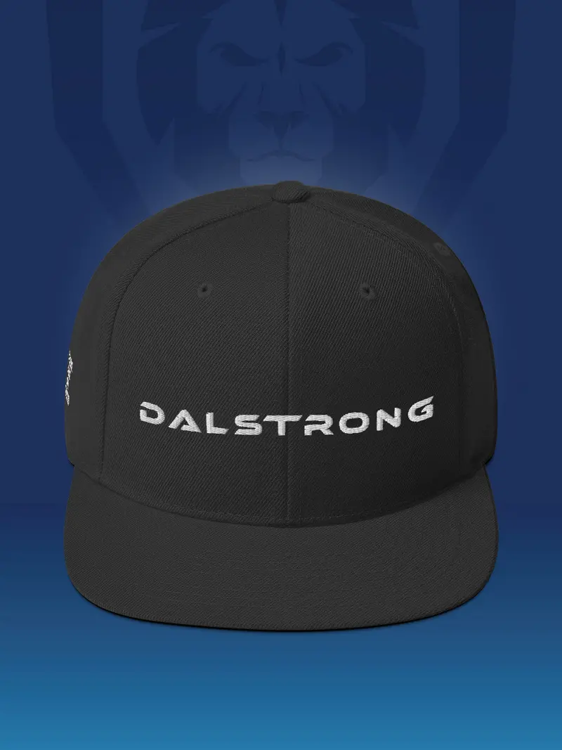 Make It Snappy Snapback Hat - Front To Back Logo | Apparel | Dalstrong © 1