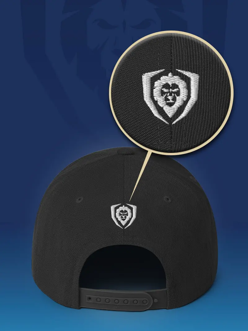Make It Snappy Snapback Hat - Front To Back Logo | Apparel | Dalstrong © 3