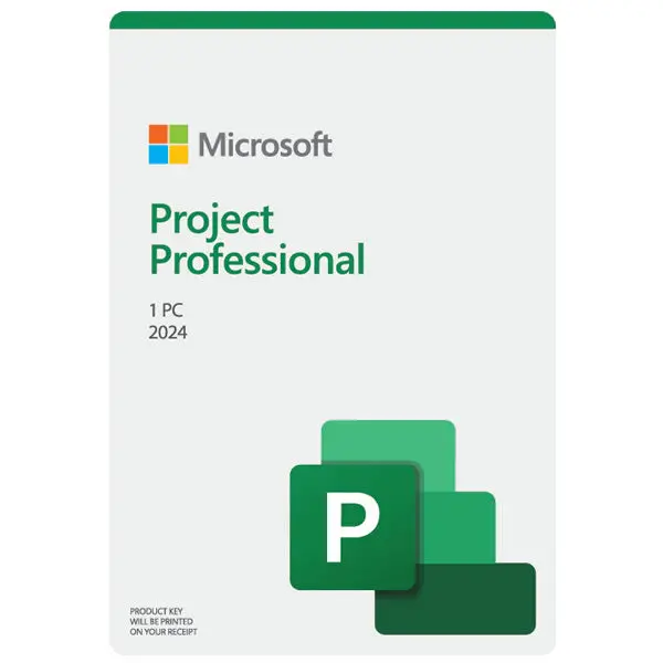 Microsoft Project Professional 2024 1
