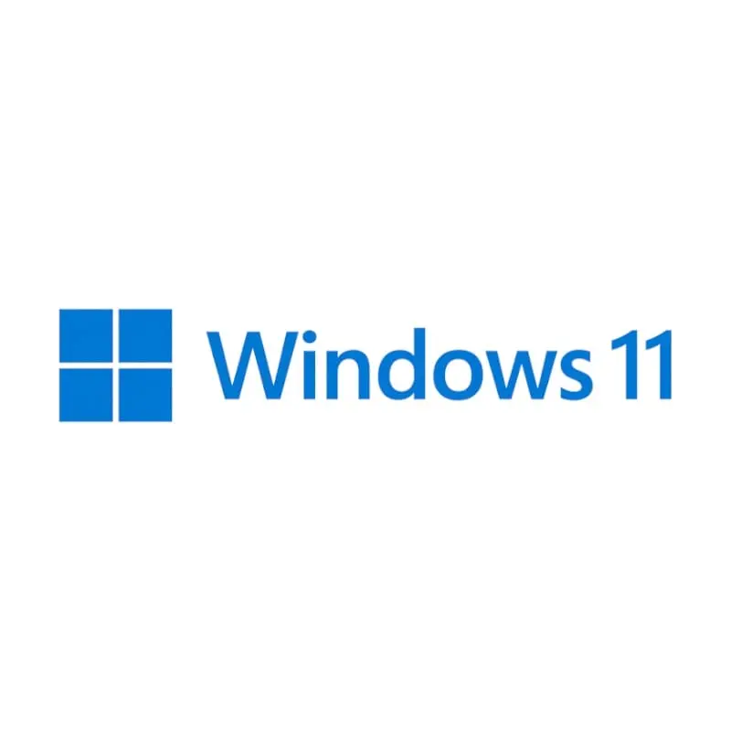 Microsoft Windows 11 Home Dsp 1