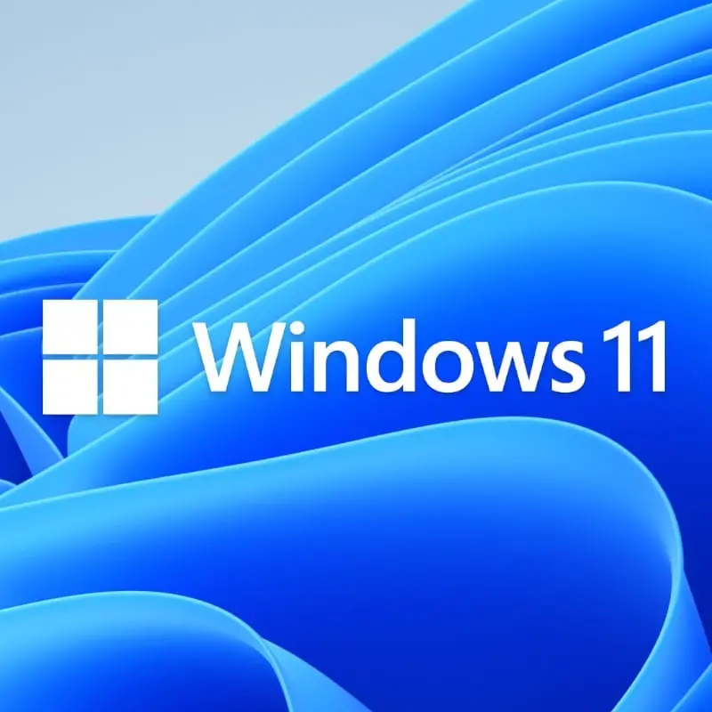 Microsoft Windows 11 Home Dsp 2