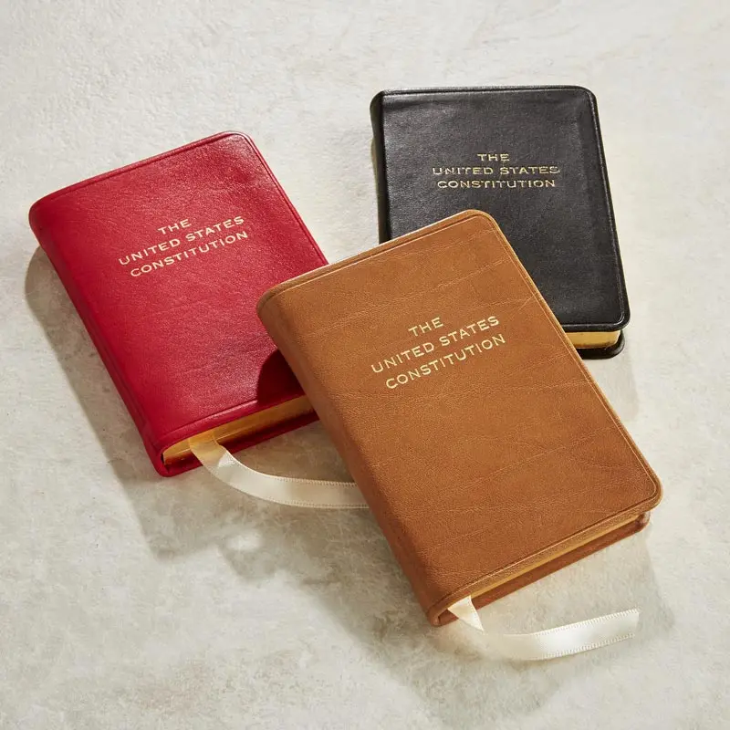 Mini Constitution 1