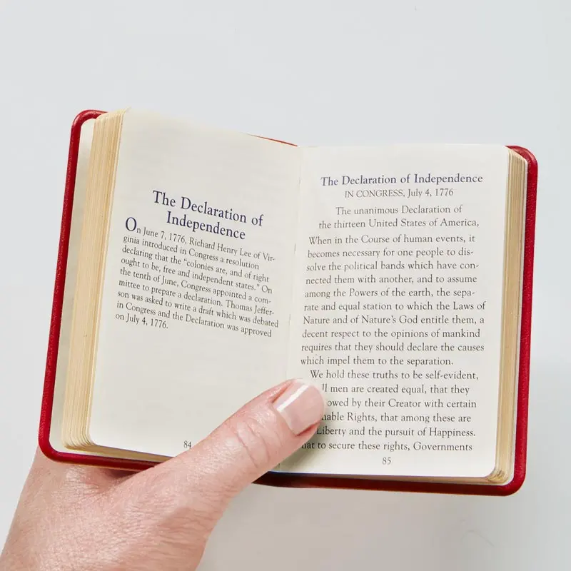 Mini Constitution 2