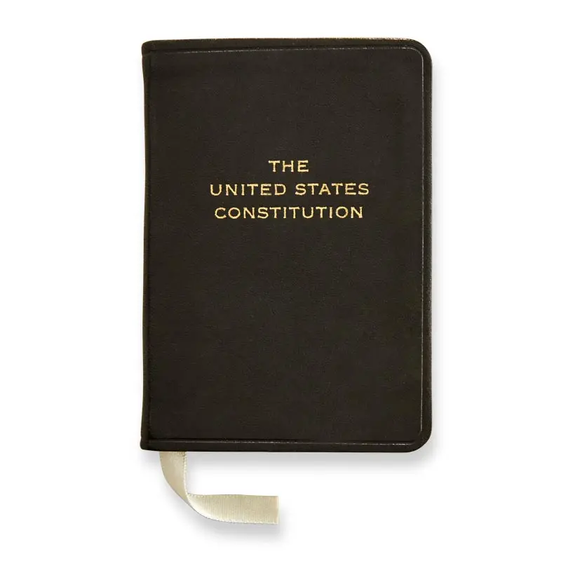 Mini Constitution 2