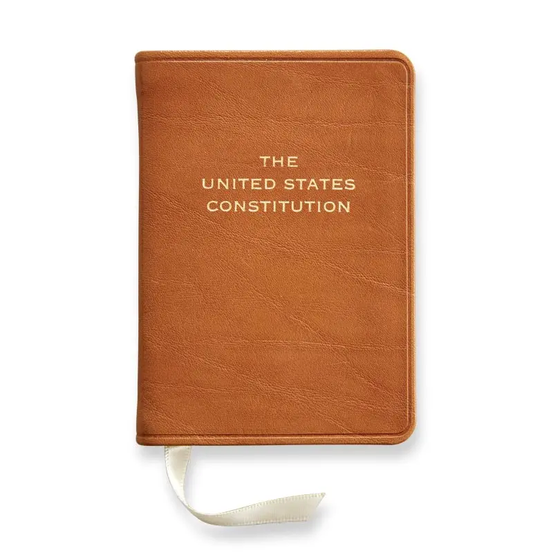 Mini Constitution 3