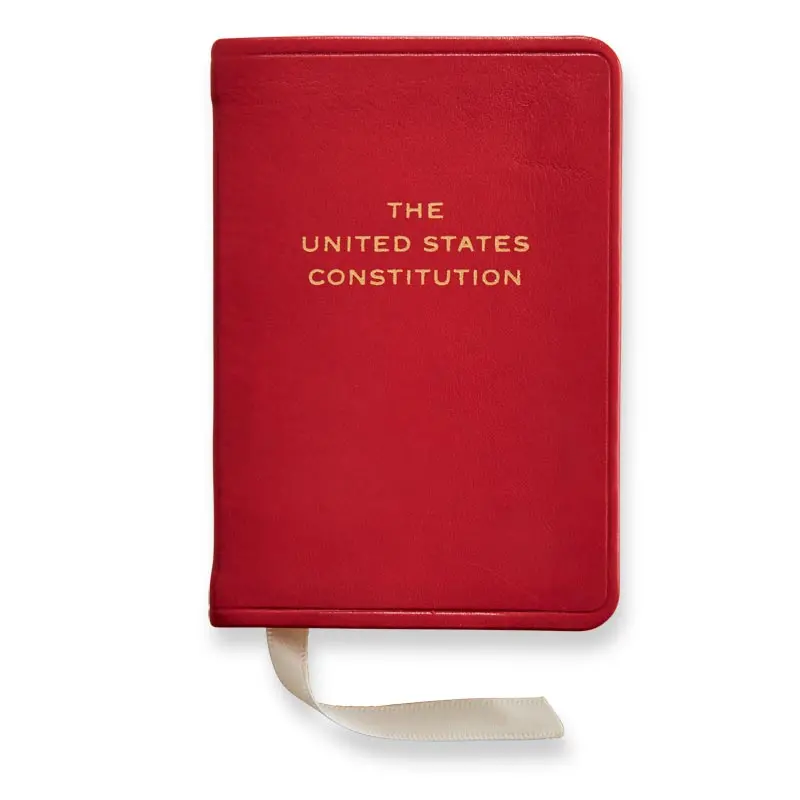 Mini Constitution 3