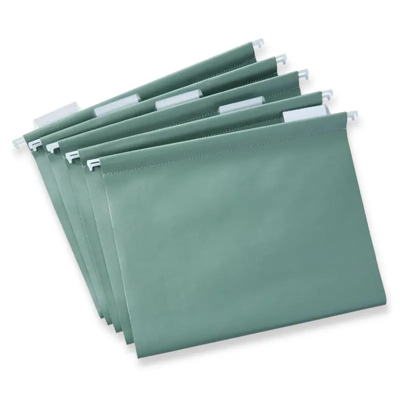 Oasis Hanging File Folders (Set Of 5) 1