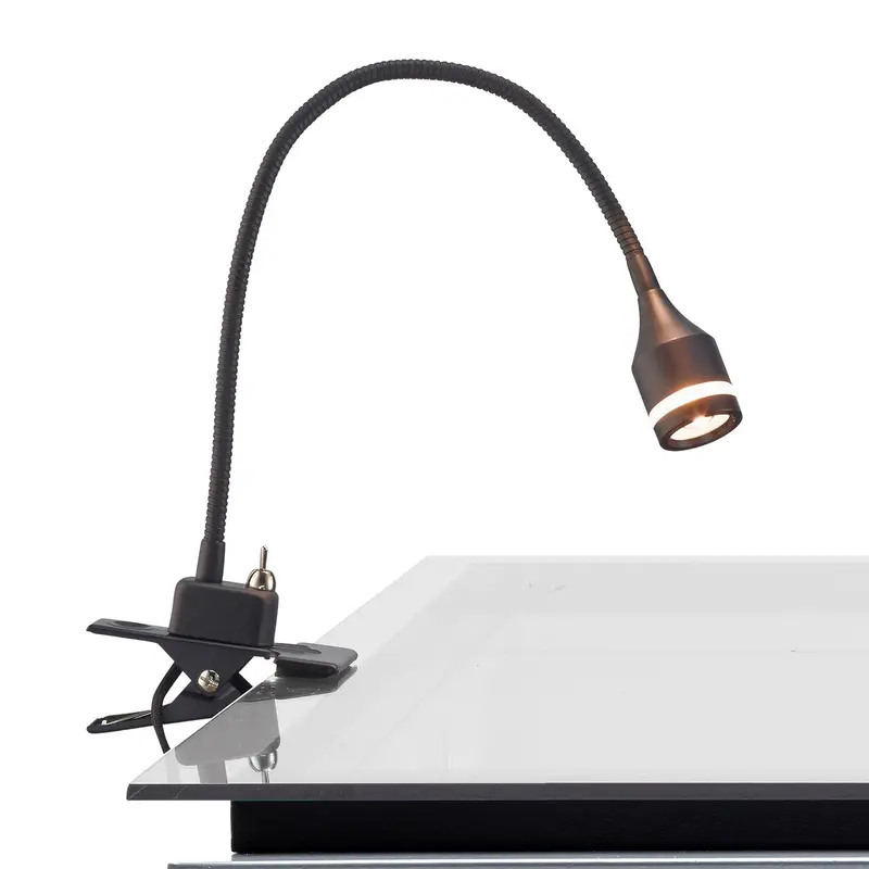 Overarching Clip-On Light 1