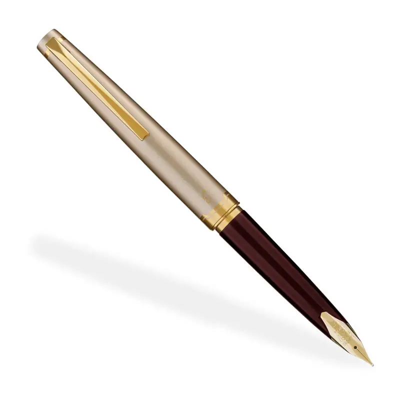 Pilot E95s Fountain Pen 1