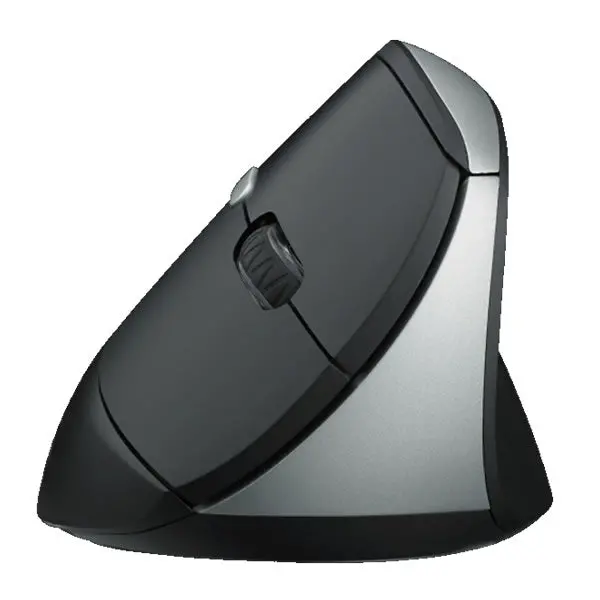 Rapoo Ev250 Wireless Ergonomic Mouse 2