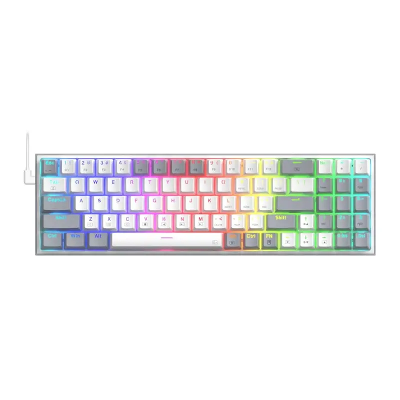 Redragon Mechanical Pollux Wired Gaming Keyboard 1