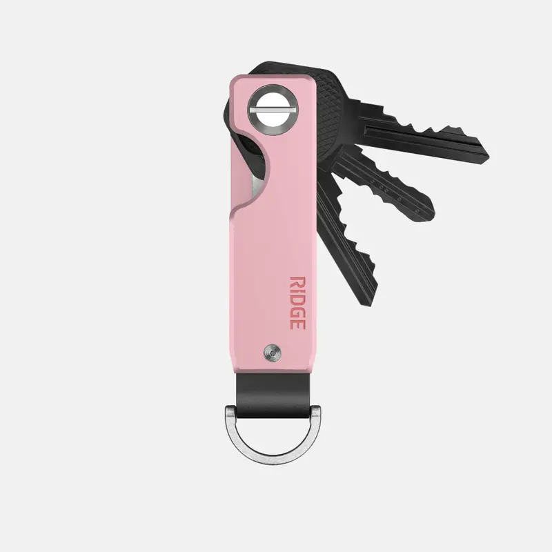 Ridge Keycase - Bubblegum 1