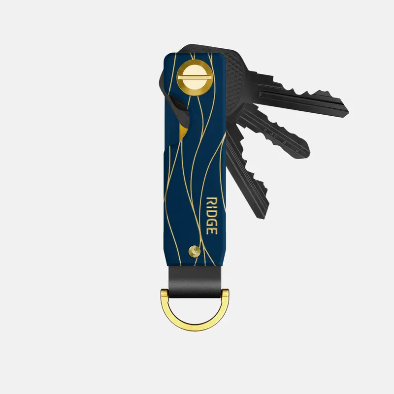 Ridge Keycase - Gold Horizon 1