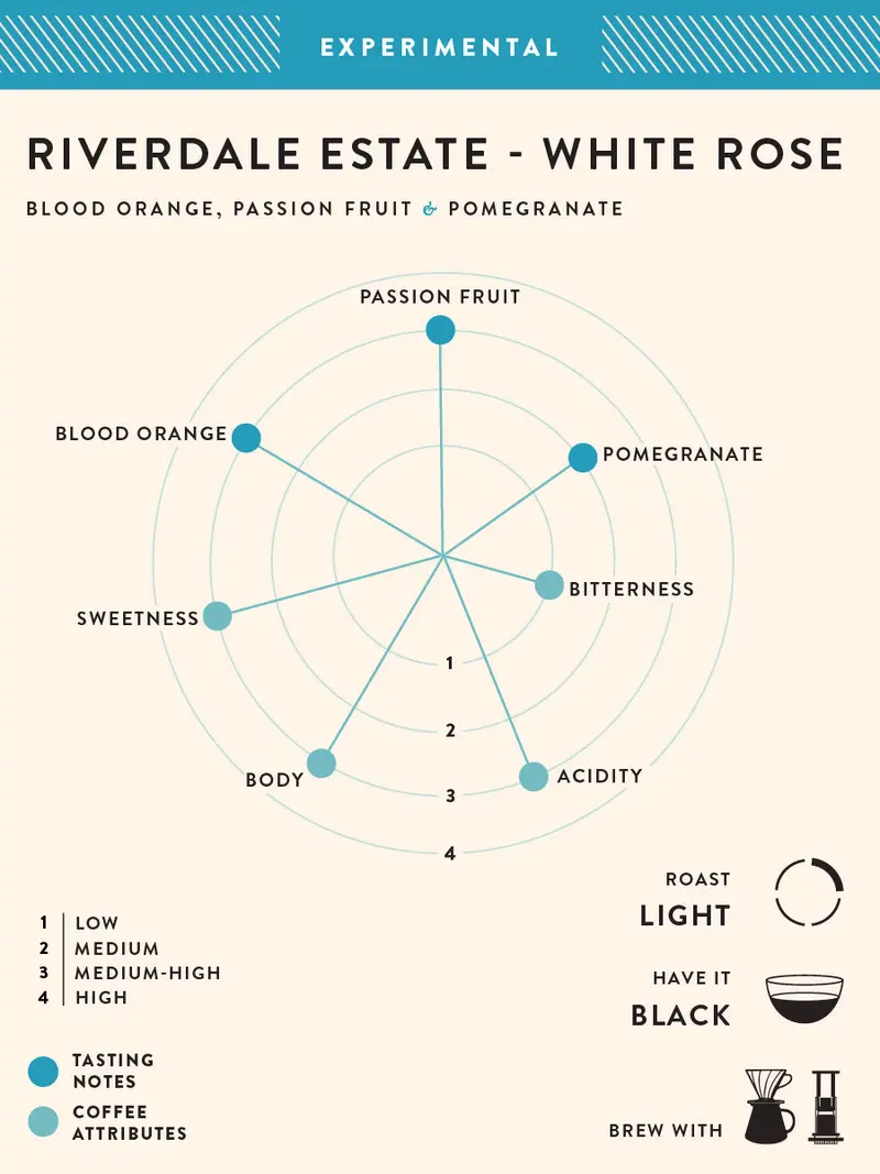 Riverdale Estate - White Rose 2