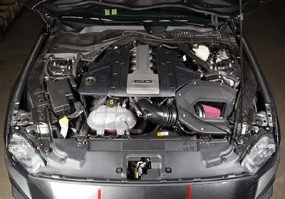 Roush Performance Cold Air Kit 2018–2021 Ford Mustang Gt 5.0L (V8) 2