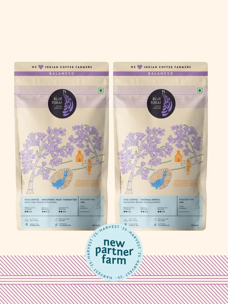 Skia Coffee (Pack Of 2) 1