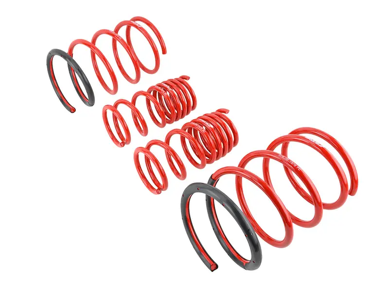 Skunk2 Lowering Springs 2002-2005 Honda Civic Si 1