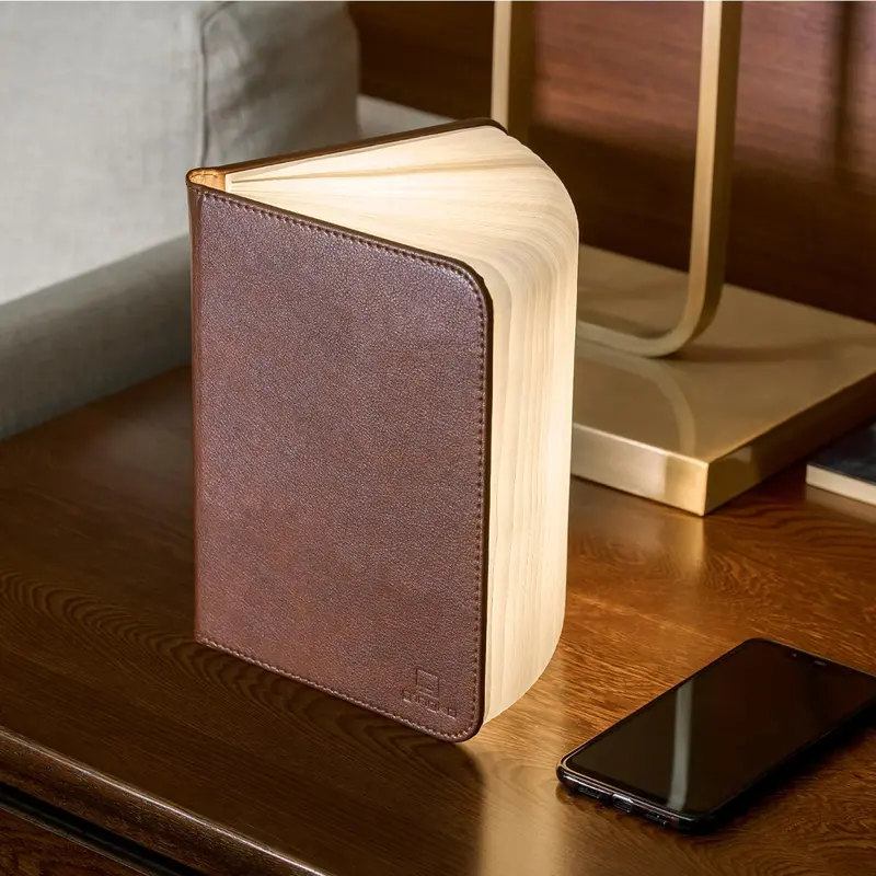 Smart Book Light 1