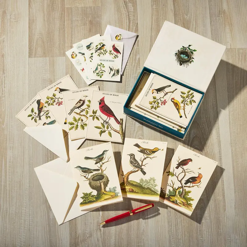 Study Of Birds Stationery Set 1