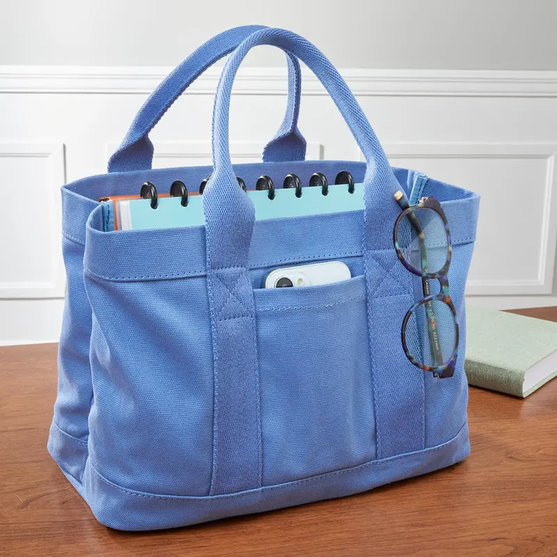 Tiny Canvas Book Tote 1
