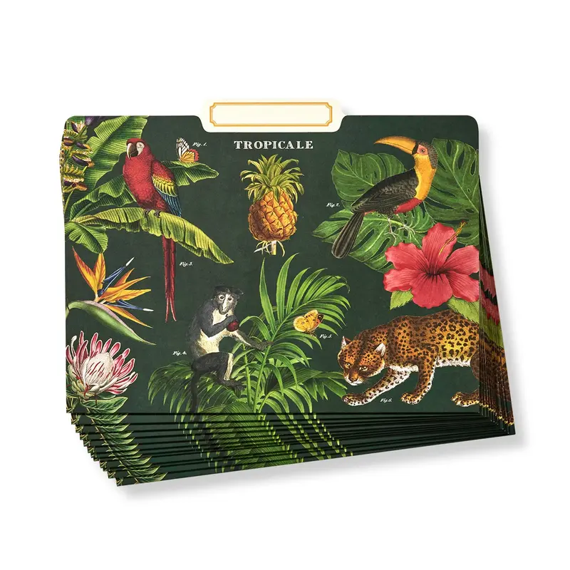 Tropicale File Folders (Set Of 12) 1
