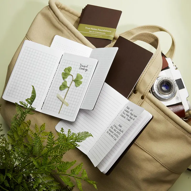 True Notes Foundations (Set Of 4) 1