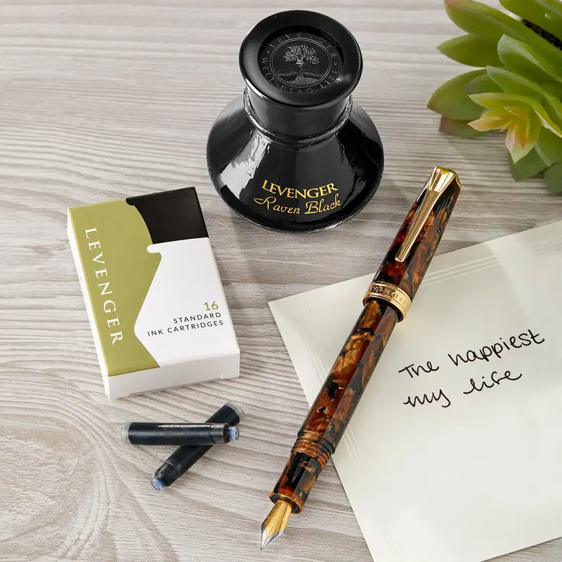 True Writer Golden Dark Tortoise Fountain Pen Kit 1