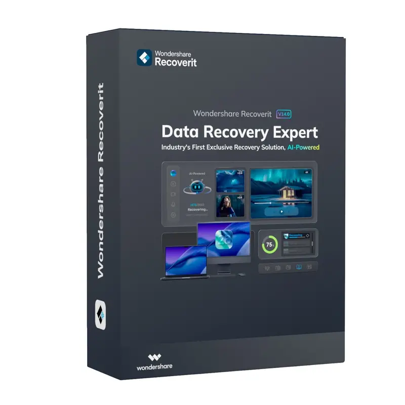 Wondershare Recoverit Data Recovery Expert For Windows Individual (Digital Perpetual License) 2