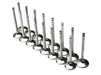 Brian Crower 32.5Mm Exhaust Valves For Nissan Vq35De Engine 1